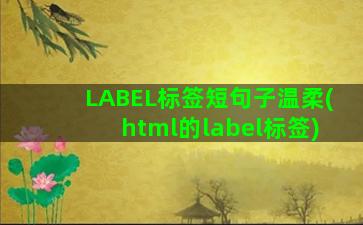 LABEL标签短句子温柔(html的label标签)